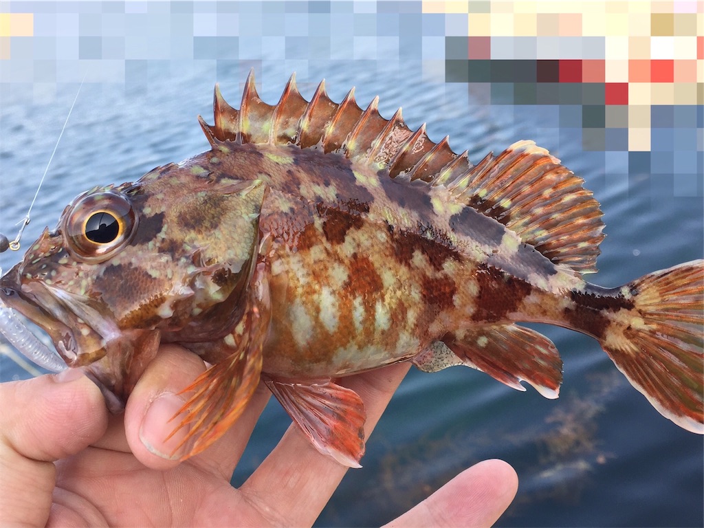 f:id:esojima3:20190421101543j:image