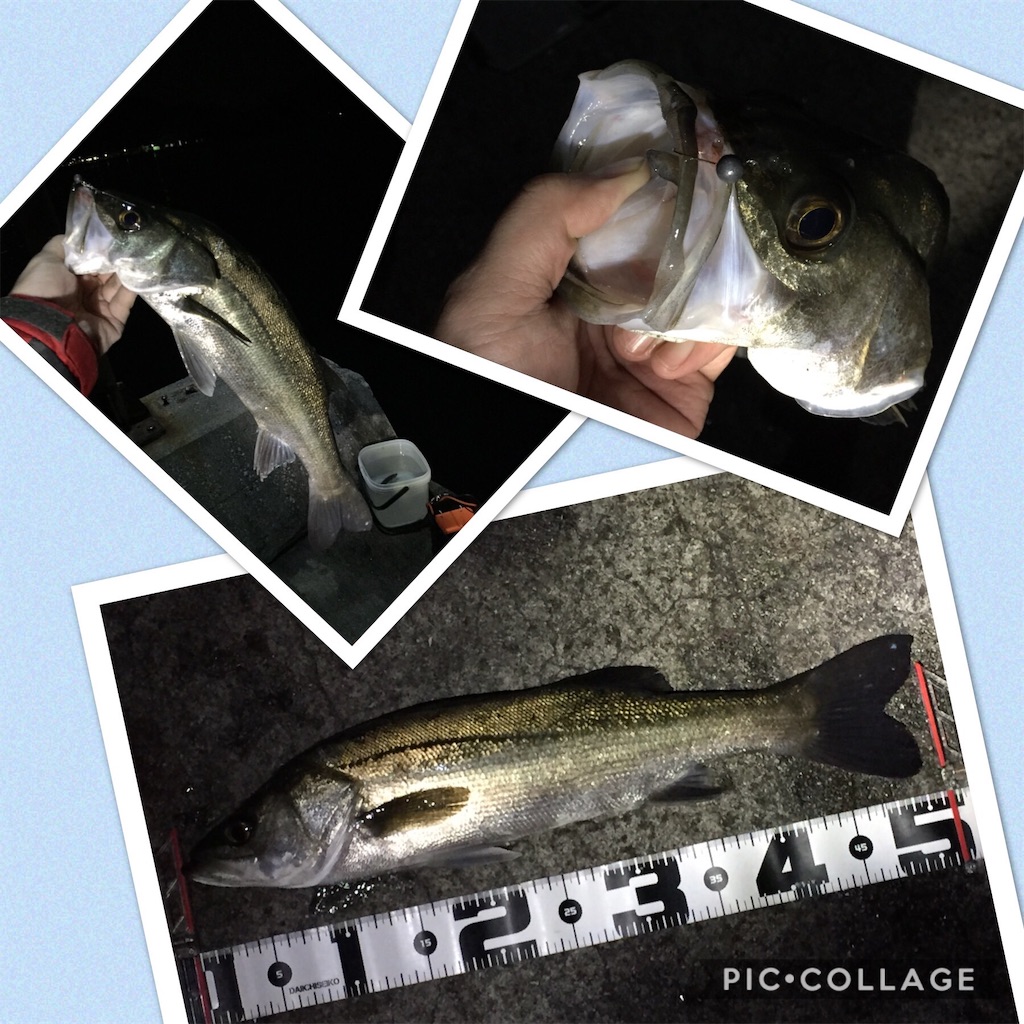 f:id:esojima3:20190421101942j:image