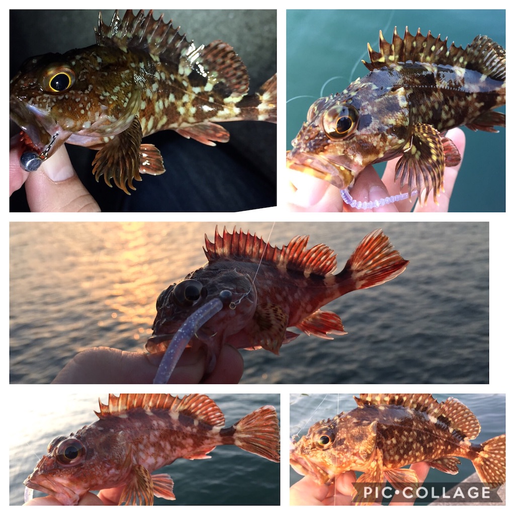 f:id:esojima3:20190421101949j:image