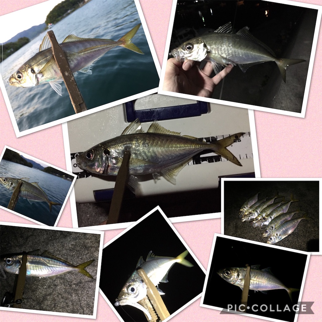 f:id:esojima3:20190421101956j:image
