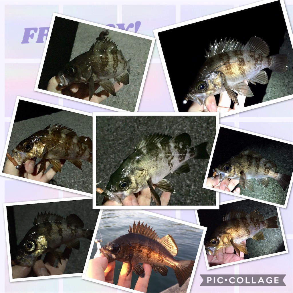 f:id:esojima3:20190421101959j:image