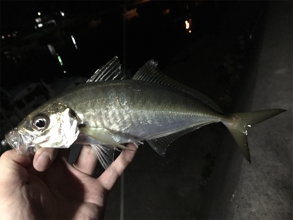 f:id:esojima3:20190421102006j:image