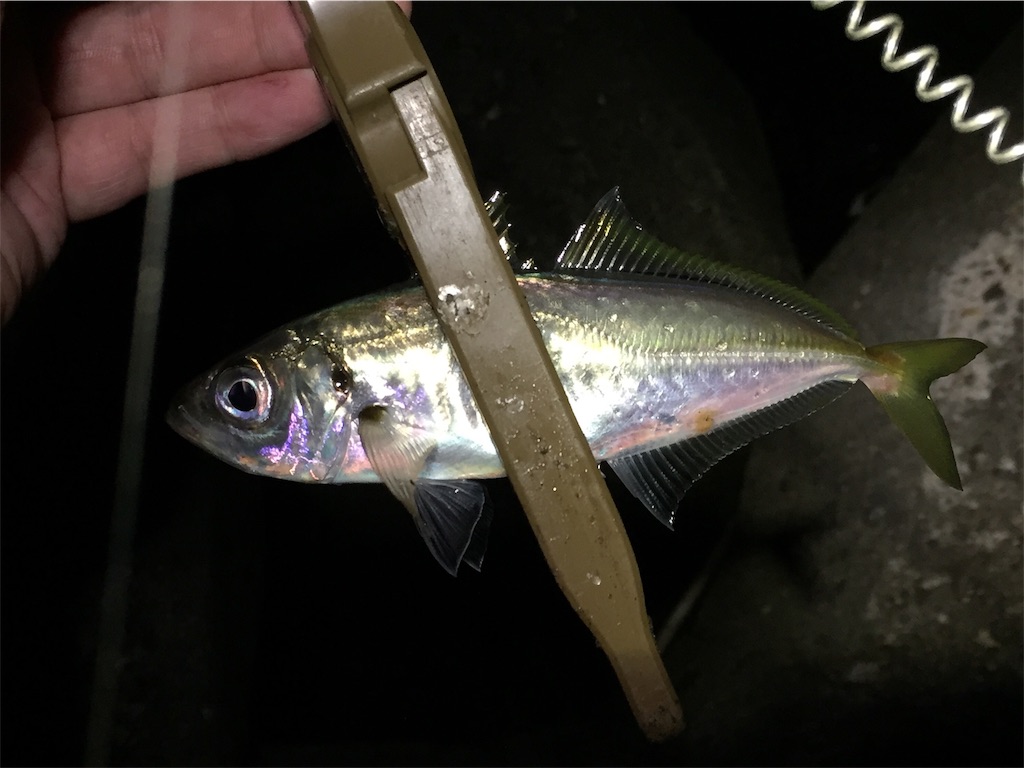 f:id:esojima3:20190421230104j:image