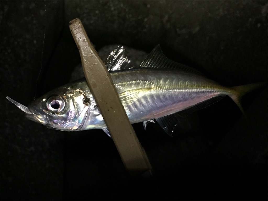 f:id:esojima3:20190421230138j:image