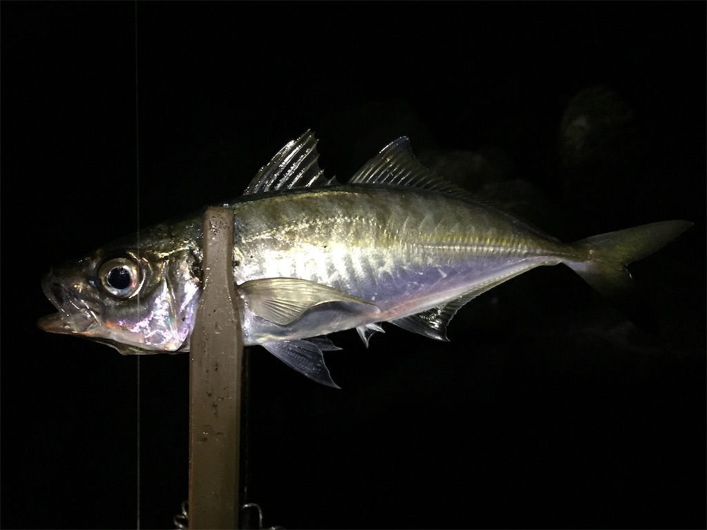 f:id:esojima3:20190421230535j:image