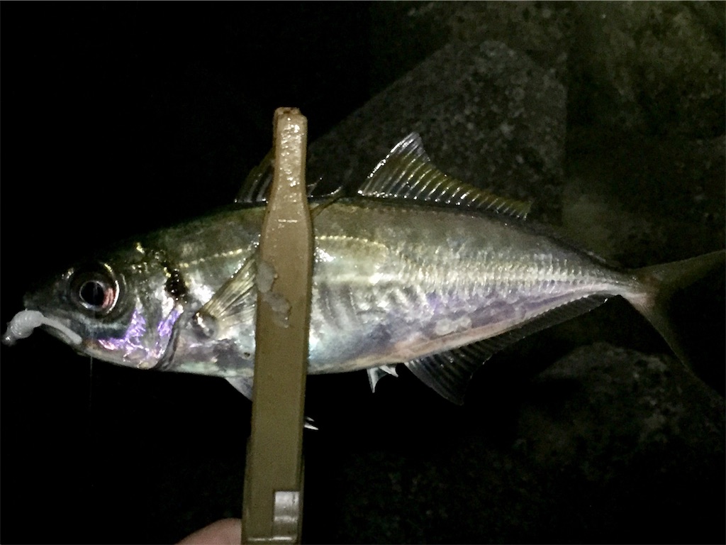 f:id:esojima3:20190421230624j:image