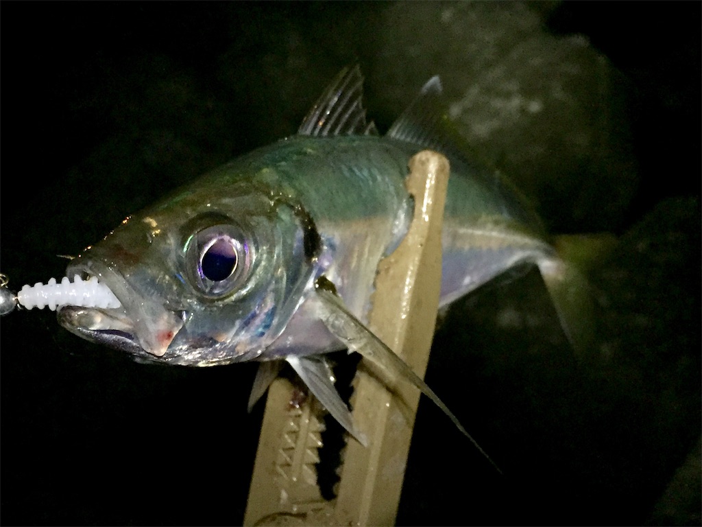 f:id:esojima3:20190421230629j:image