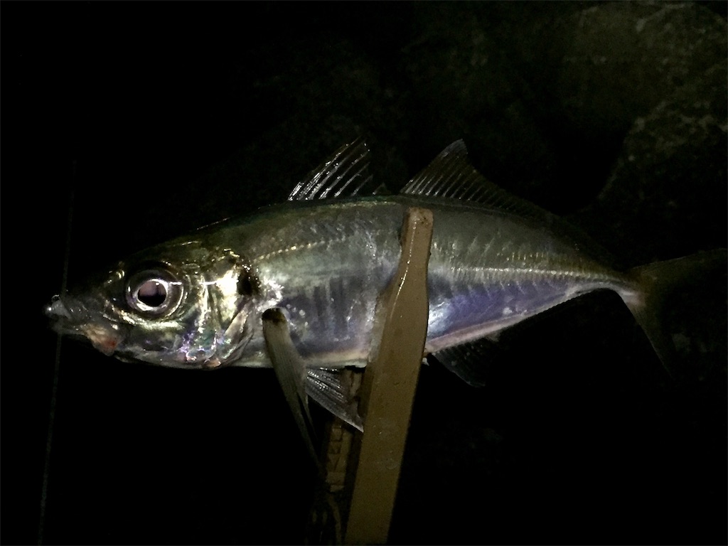 f:id:esojima3:20190421230653j:image