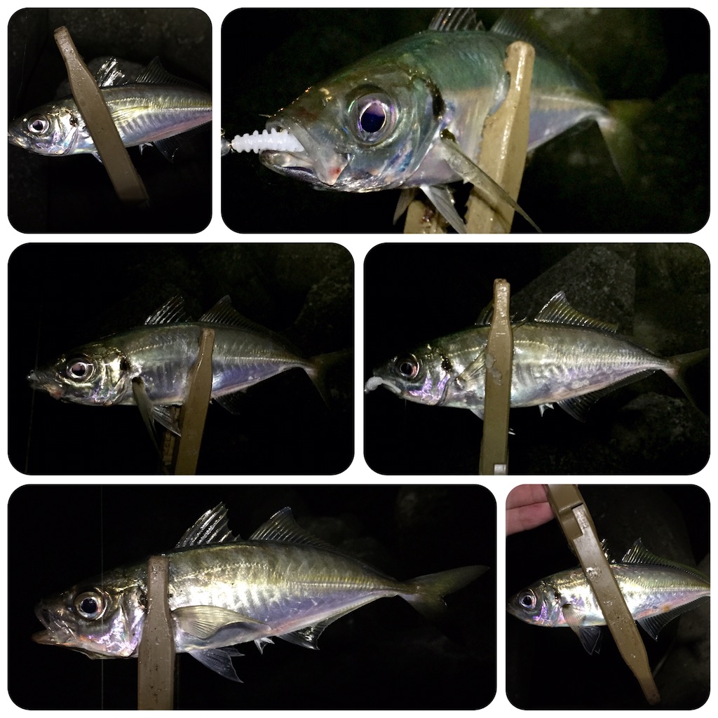 f:id:esojima3:20190421231037j:image