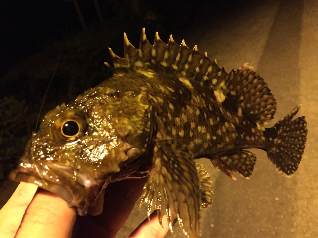 f:id:esojima3:20190423064837j:image f:id:esojima3:20190423064837j:image