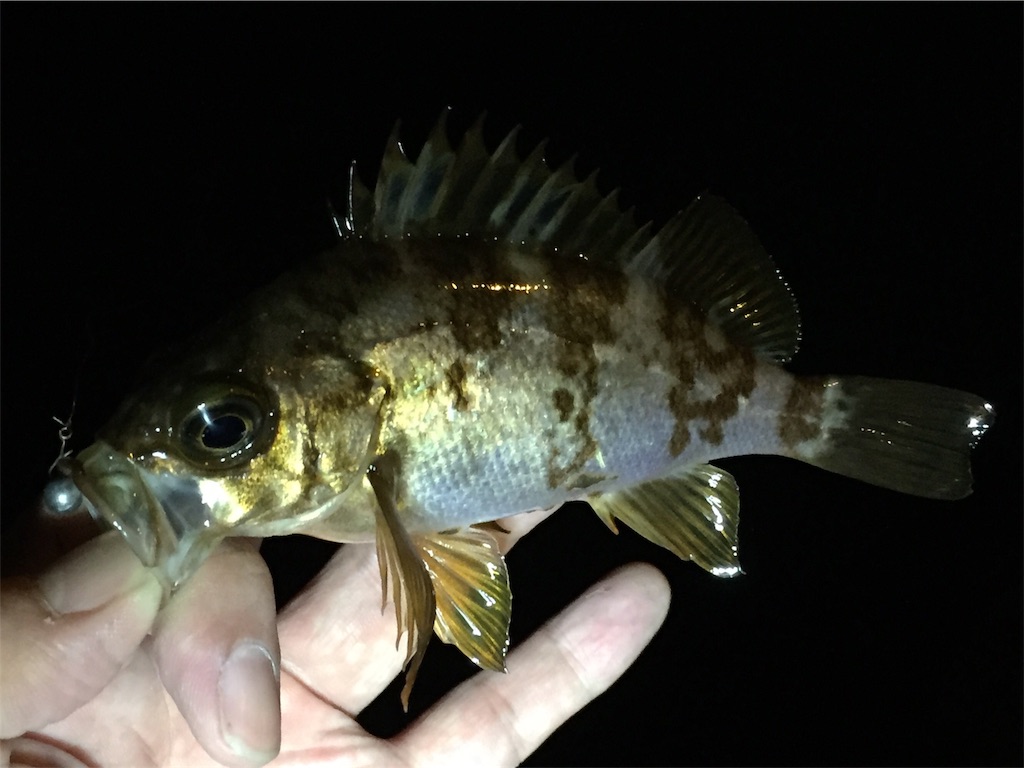 f:id:esojima3:20190423064953j:image f:id:esojima3:20190423064953j:image