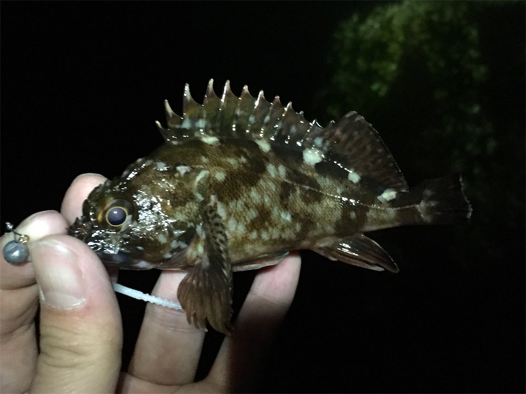 f:id:esojima3:20190423065000j:image f:id:esojima3:20190423065000j:image