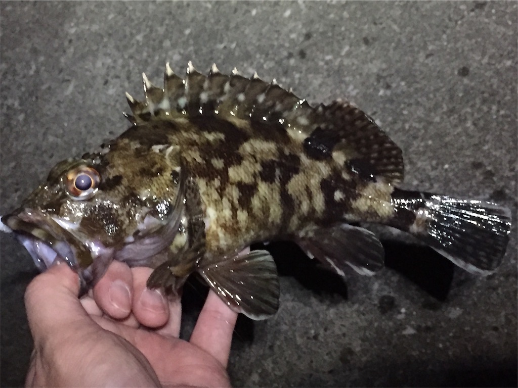 f:id:esojima3:20190424232521j:image
