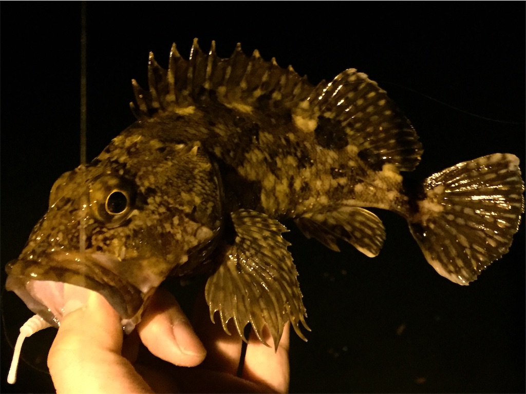 f:id:esojima3:20190424232542j:image