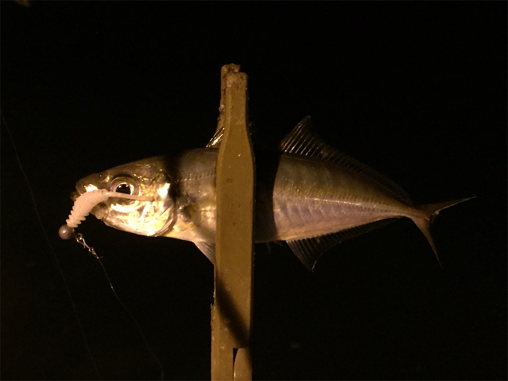 f:id:esojima3:20190424232616j:image