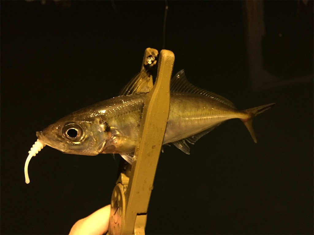 f:id:esojima3:20190424233358j:image