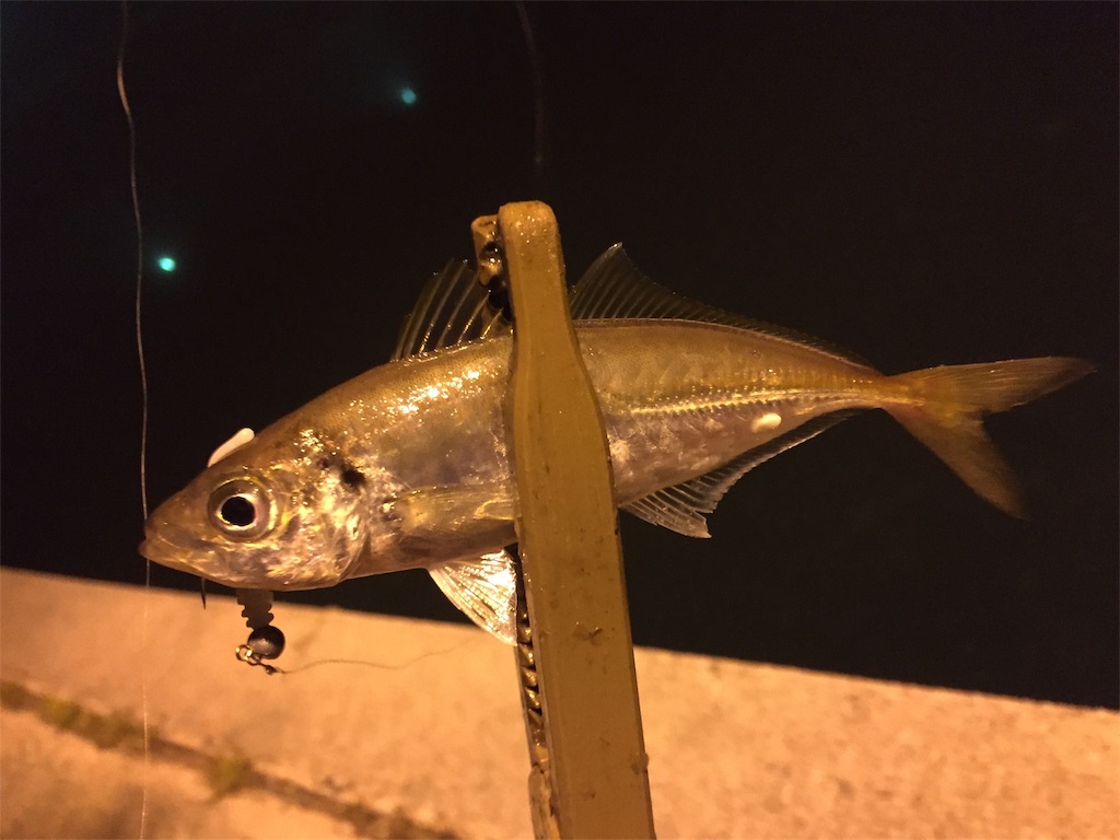 f:id:esojima3:20190424233401j:image