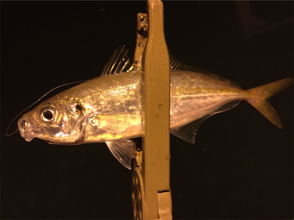 f:id:esojima3:20190424233405j:image
