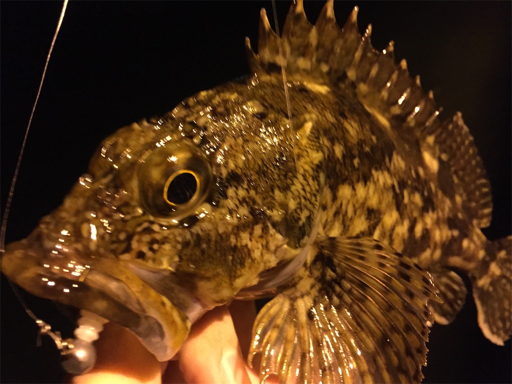 f:id:esojima3:20190427105732j:image