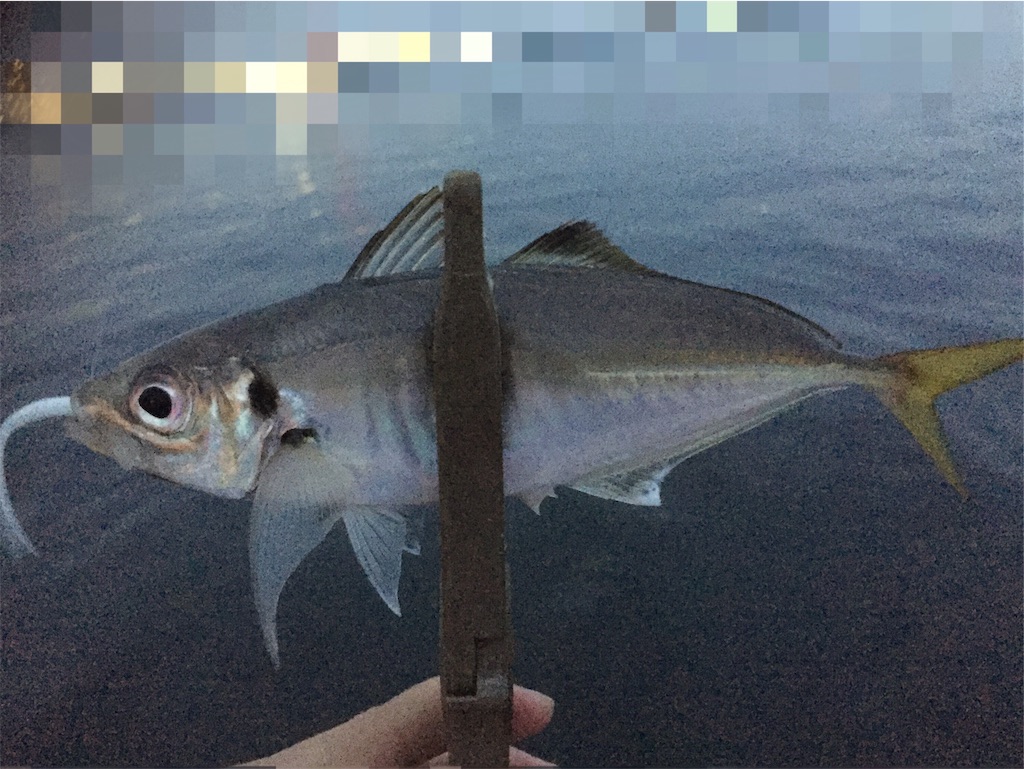 f:id:esojima3:20190601122355j:image
