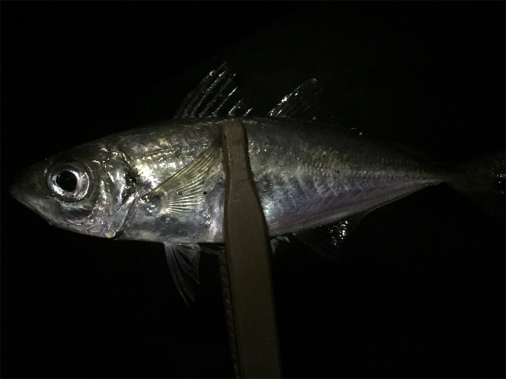 f:id:esojima3:20190601131435j:image f:id:esojima3:20190601131435j:image