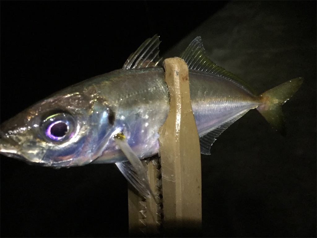 f:id:esojima3:20190601132201j:image f:id:esojima3:20190601132201j:image