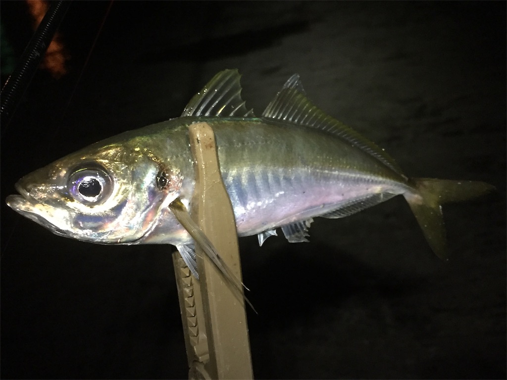 f:id:esojima3:20190601132207j:image f:id:esojima3:20190601132207j:image