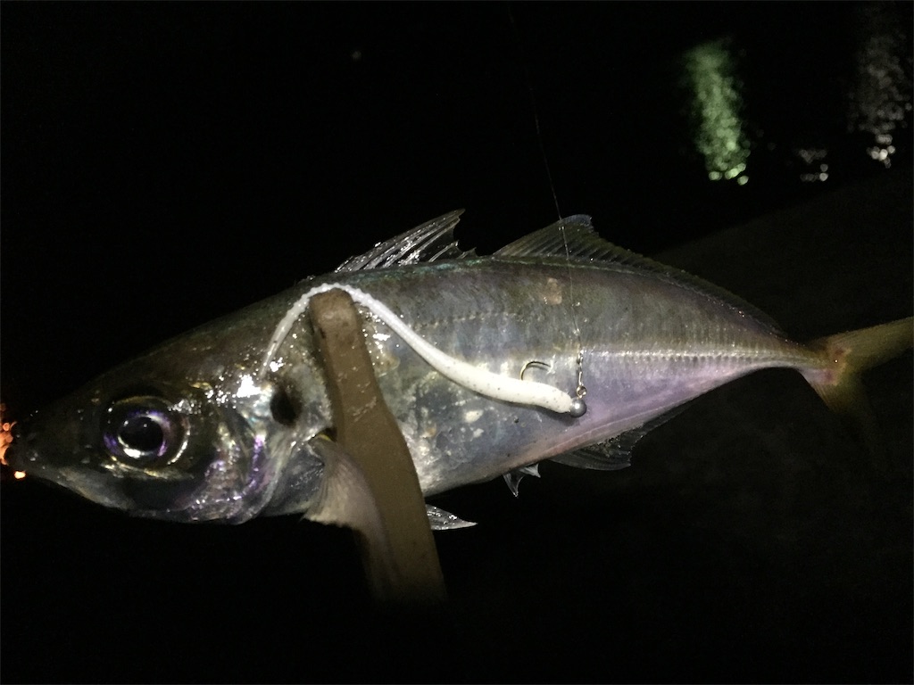 f:id:esojima3:20190602095620j:image