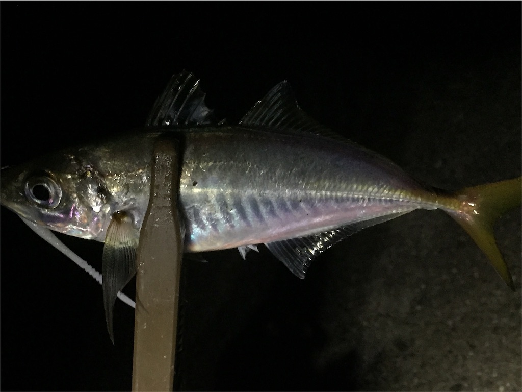 f:id:esojima3:20190602095624j:image