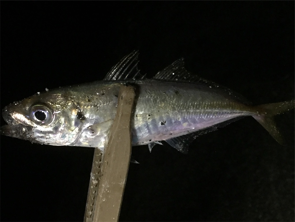 f:id:esojima3:20190602095637j:image