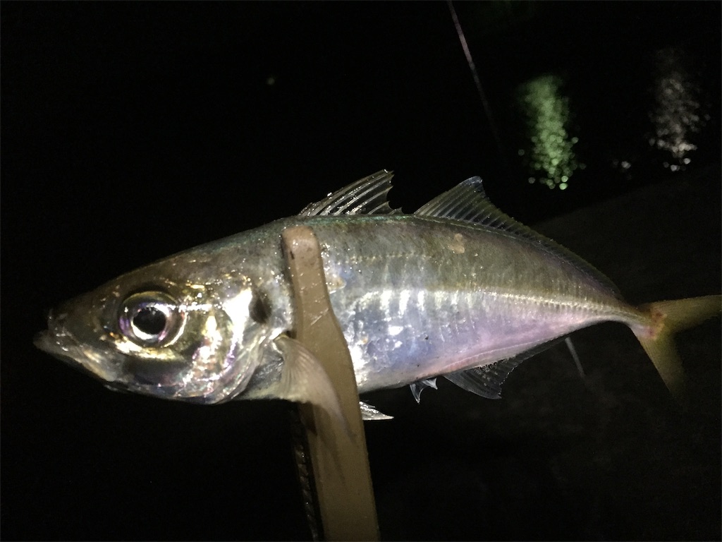 f:id:esojima3:20190602172536j:image