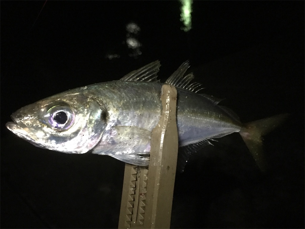 f:id:esojima3:20190602172541j:image