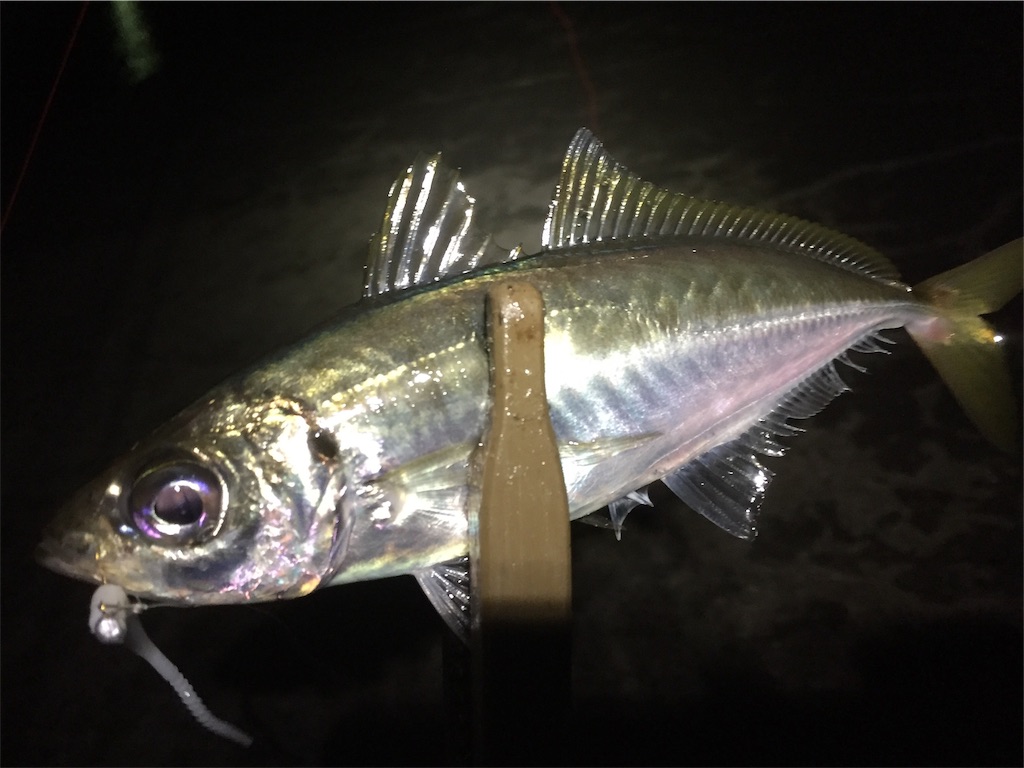 f:id:esojima3:20190602172553j:image