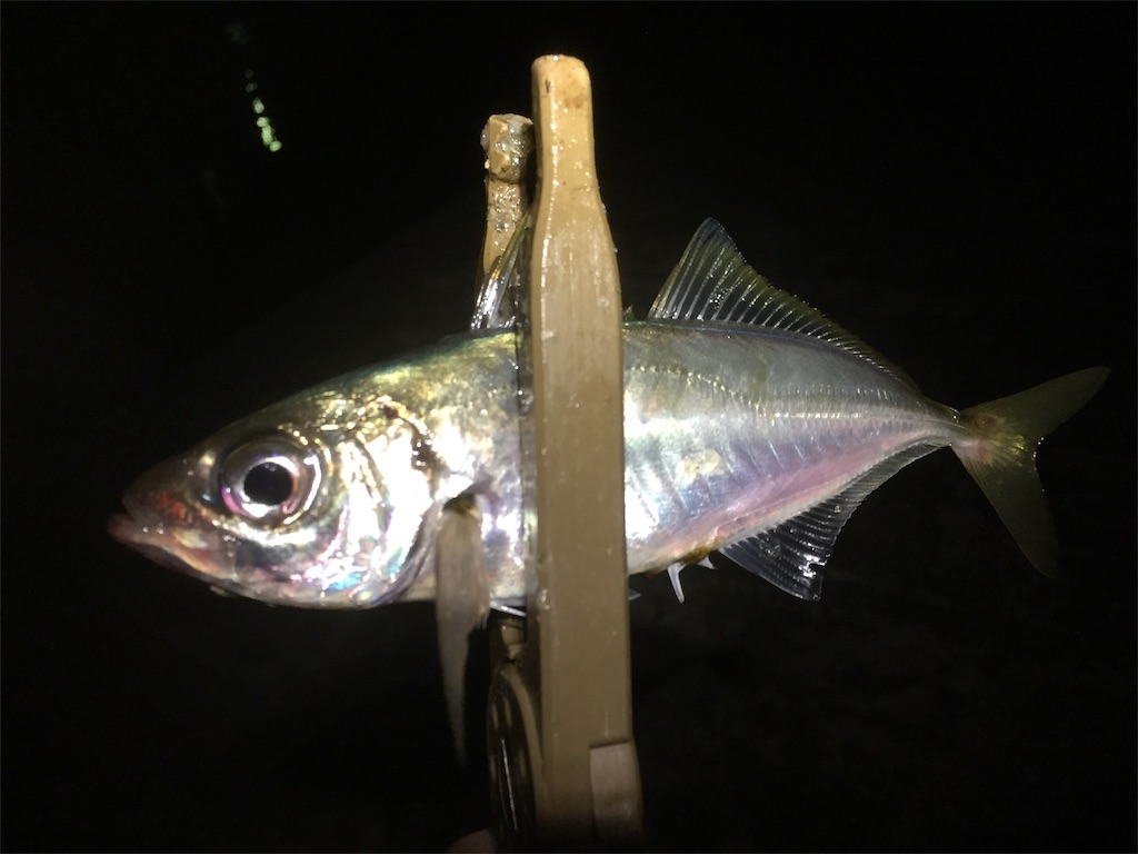 f:id:esojima3:20190602172557j:image