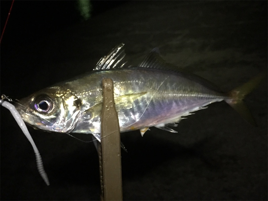 f:id:esojima3:20190602172601j:image