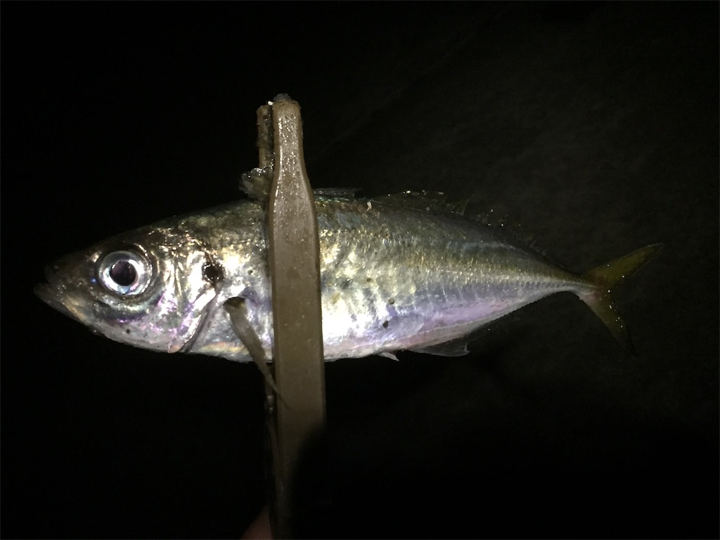 f:id:esojima3:20190602172643j:image