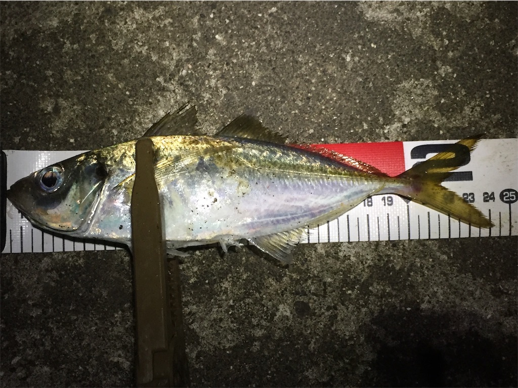 f:id:esojima3:20190602172647j:image