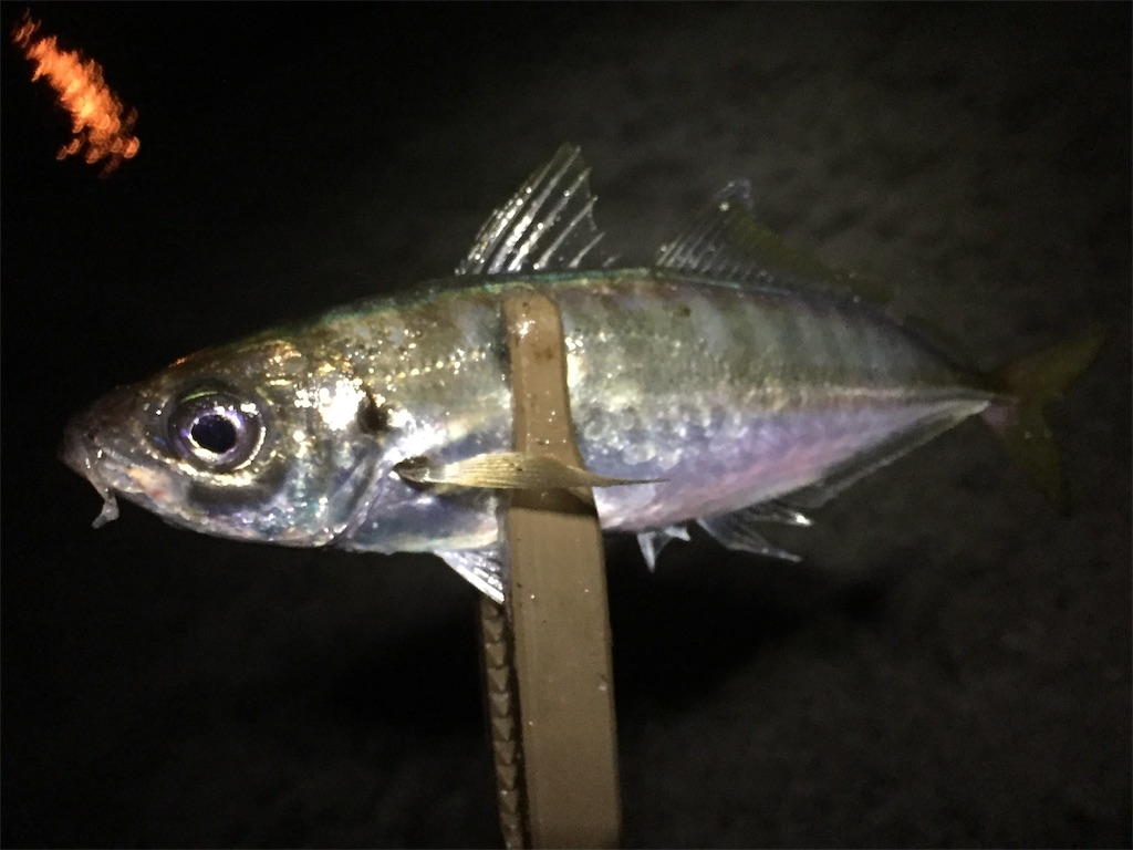 f:id:esojima3:20190602172656j:image
