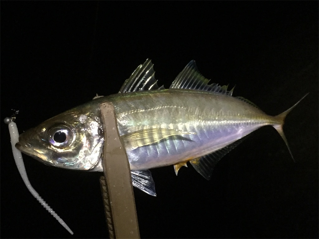 f:id:esojima3:20190605152613j:image