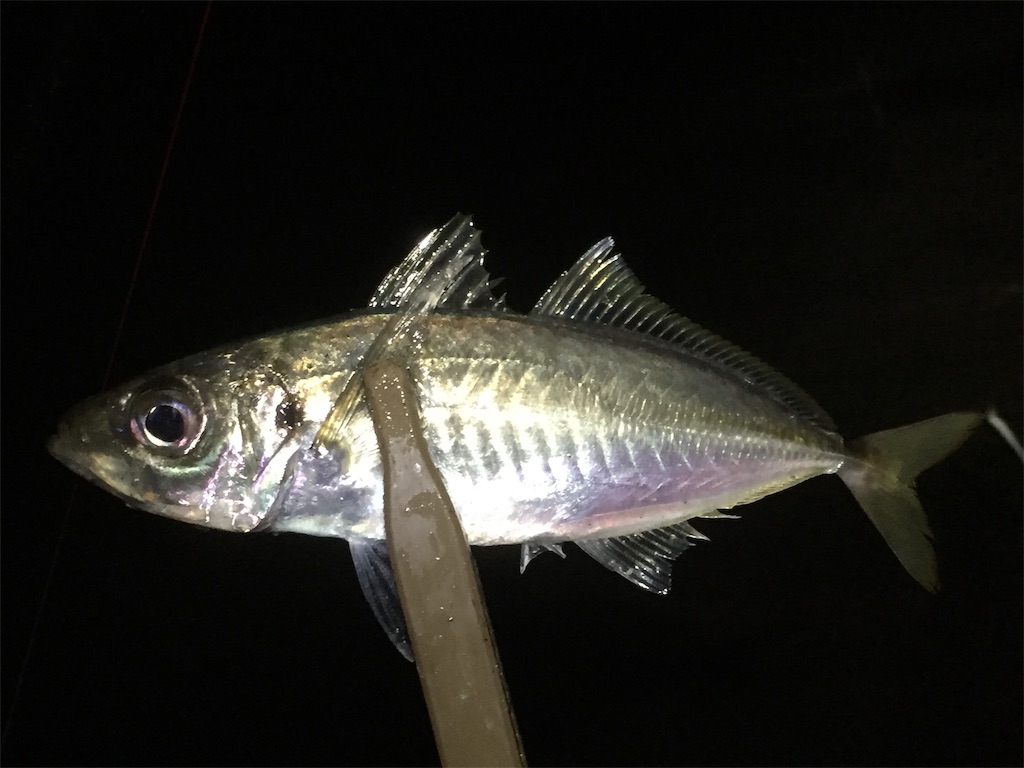 f:id:esojima3:20190605152630j:image