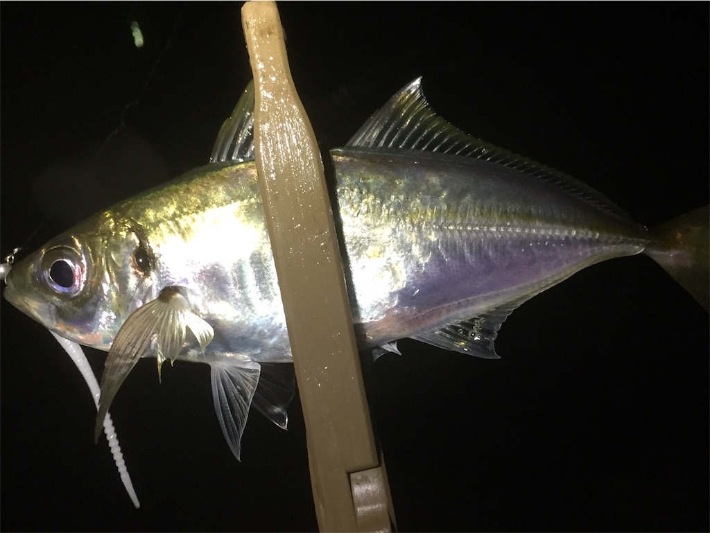 f:id:esojima3:20190605152821j:image