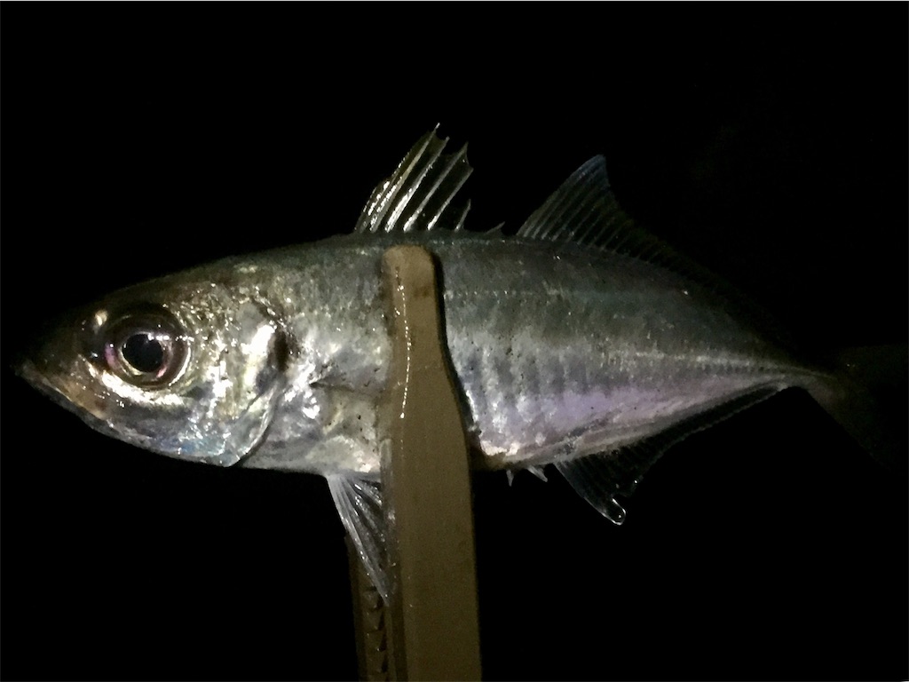 f:id:esojima3:20190605152825j:image