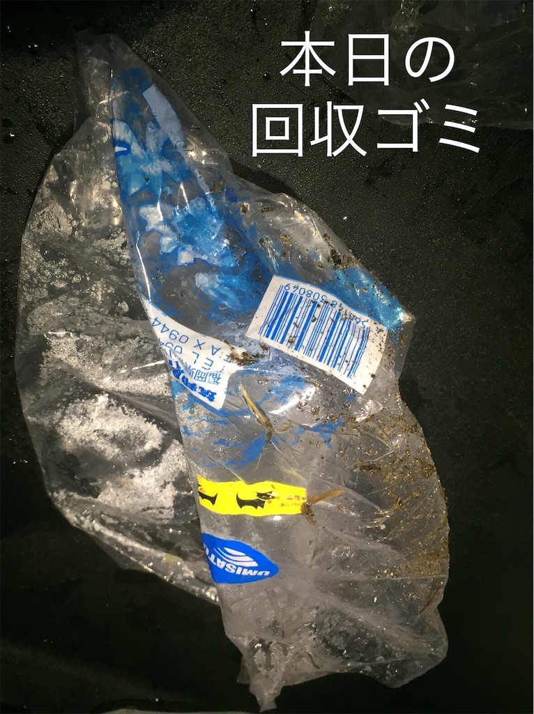 f:id:esojima3:20190605152831j:image