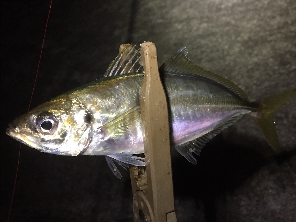 f:id:esojima3:20190608012701j:image