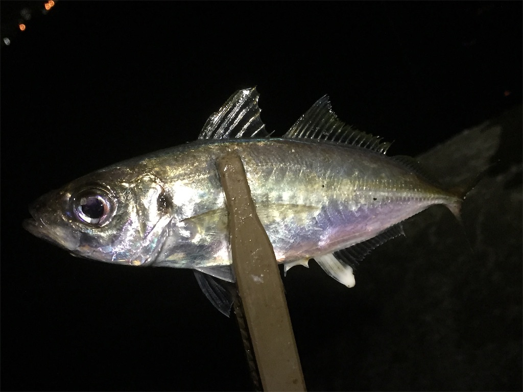 f:id:esojima3:20190608012704j:image