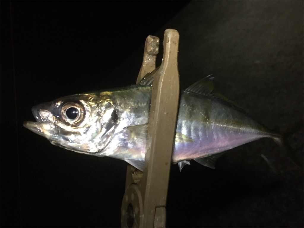 f:id:esojima3:20190608012707j:image