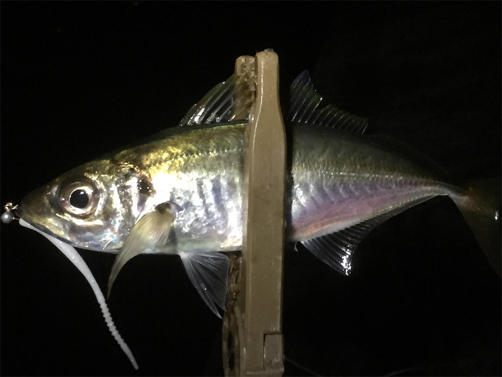 f:id:esojima3:20190608012714j:image