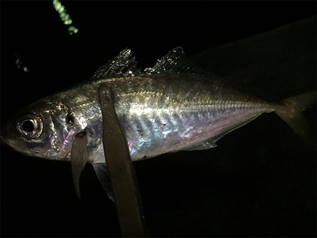 f:id:esojima3:20190608012717j:image