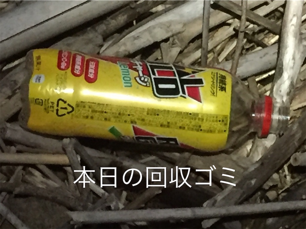 f:id:esojima3:20190608012720j:image