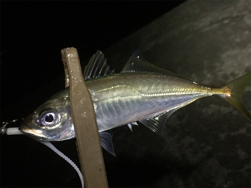 f:id:esojima3:20190608012723j:image